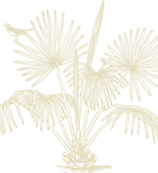 Motif