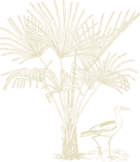 Motif