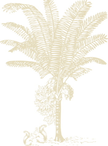 Motif