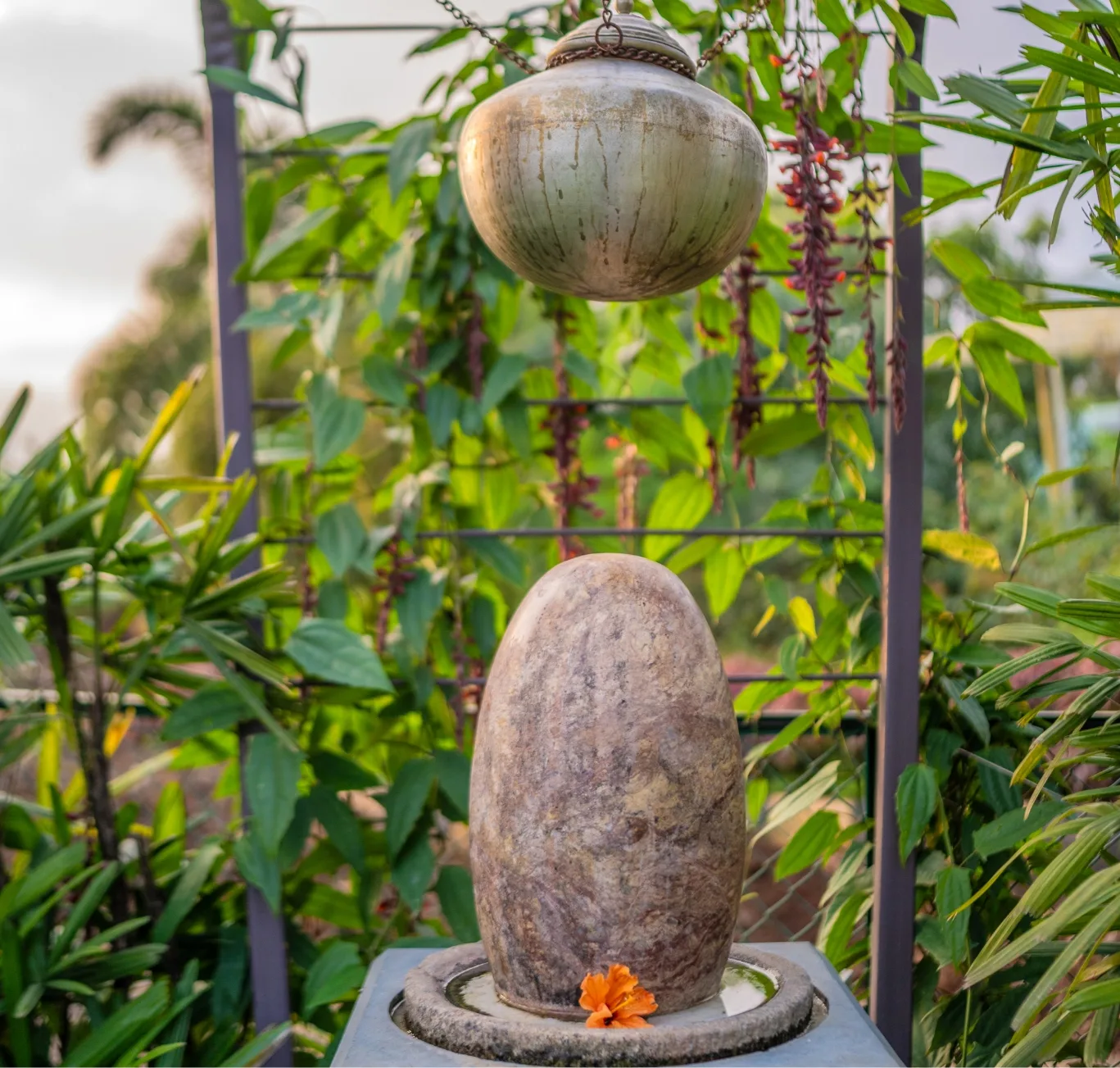 Wellness Offerings