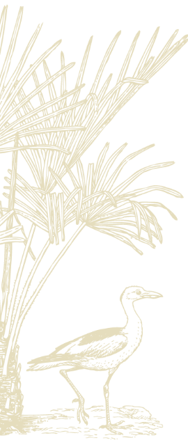 Left Pattern