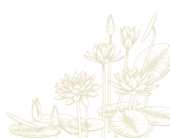 Motif