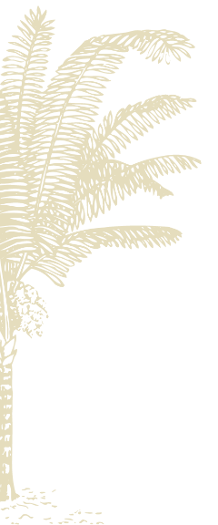 Motif